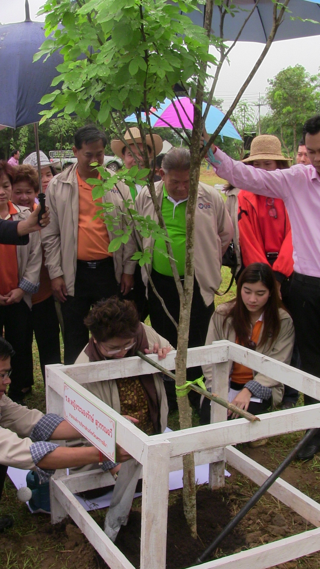 อบจ.โคราช ร่วมใจท้องถิ่นปลูกป่าเฉลิมพระเกียรติแม่หลวง